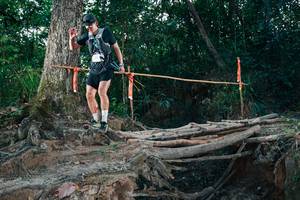 BIB: 
                            <button type="button" onclick="openModal(27317212)" class="btn btn-primary btn-sm float-right btn-popup" data-toggle="modal" data-target=".modal-high-quality">
                        <i class="fas fa-shopping-cart"></i> Add to Cart
                    </button>
                                            <button type="button" onclick="isThisMe(27317212, true)" class="btn btn-success btn-sm float-right btn-popup btn-isme hidden" data-toggle="tooltip" data-placement="bottom" title="นี่คือรูปของคุณใช่ไหม คลิกที่นี่เพื่อเอาเข้าอัลบั้ม">
                        <i class="fas fa-plus"></i> Add to album
                    </button>
                    <button type="button" onclick="isThisMe(27317212, false)" class="btn btn-warning btn-sm float-right btn-popup btn-isnotme hidden">
                        <i class="fas fa-ban"></i> Remove from album
                    </button>